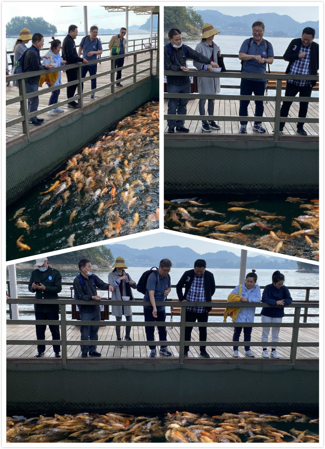 拼圖6.jpg 拼圖6.jpg